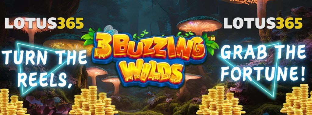 Top Reasons to Play 3 Buzzing Wilds Slot on Lotus365 2 3 Buzzing Wilds Jackpot