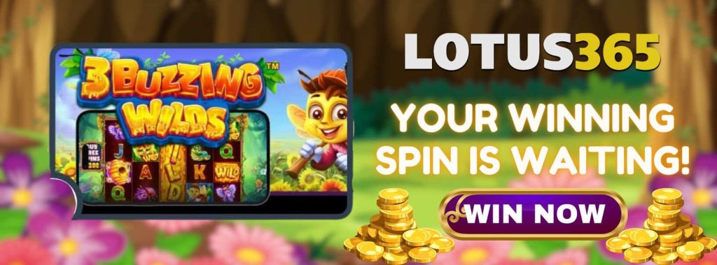 Top Reasons to Play 3 Buzzing Wilds Slot on Lotus365 6 Best Slot Games on Lotus365