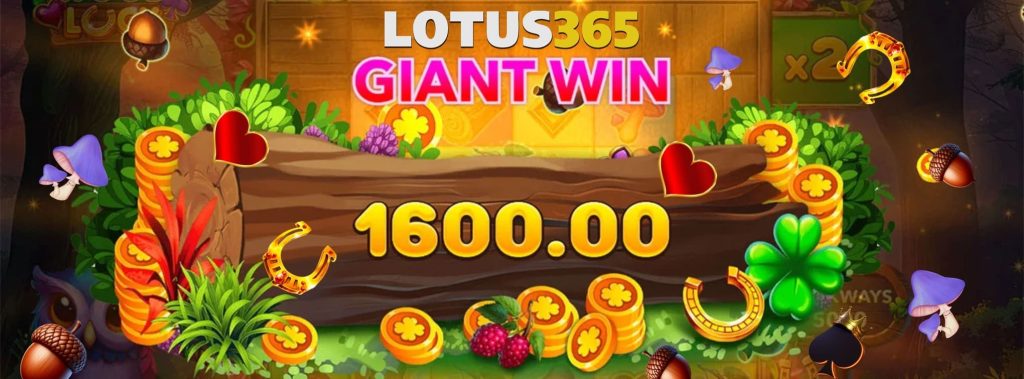 Wood Luck Game Review Tips for Beginners on Lotus365 3 Winning tips for Wood Luck game