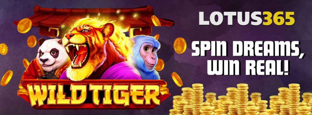 Wild Tiger Slot Review on Lotus365 5 Wild Tiger Slot
