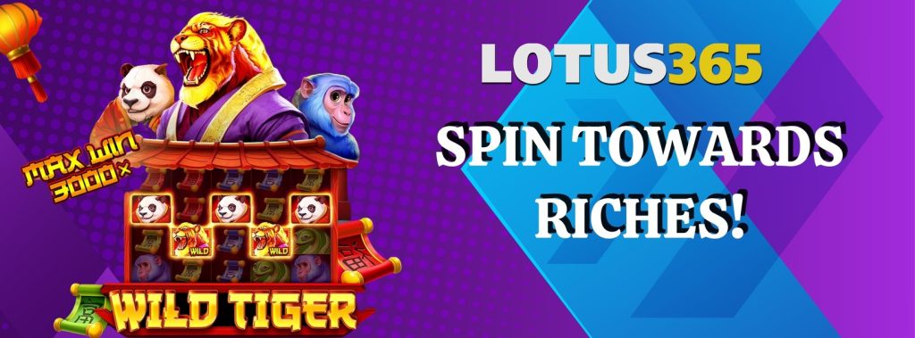 Wild Tiger Slot Review on Lotus365 7 Wild Tiger Slot game