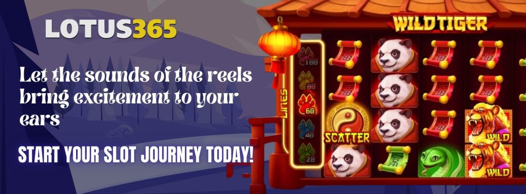 Wild Tiger Slot Review on Lotus365 4 Wild Tiger Slot review