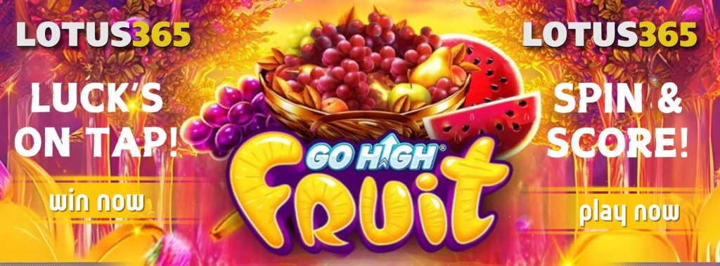 Go High Fruit Slot Review 2025 on Lotus365 2 Go High Fruit Slot 2025