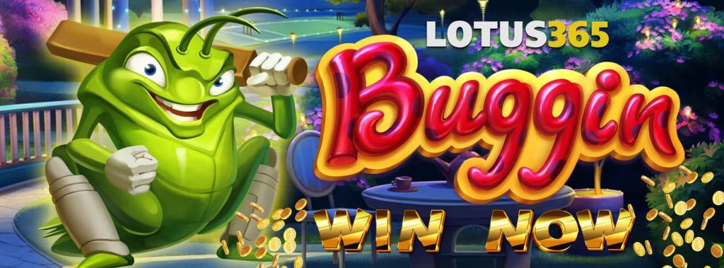 How to Play and Win Big on Buggin Slot on Lotus365 4 How to win big on Buggin Slot