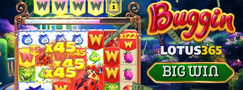 How to Play and Win Big on Buggin Slot on Lotus365 7 Play Buggin Slot on Lotus365