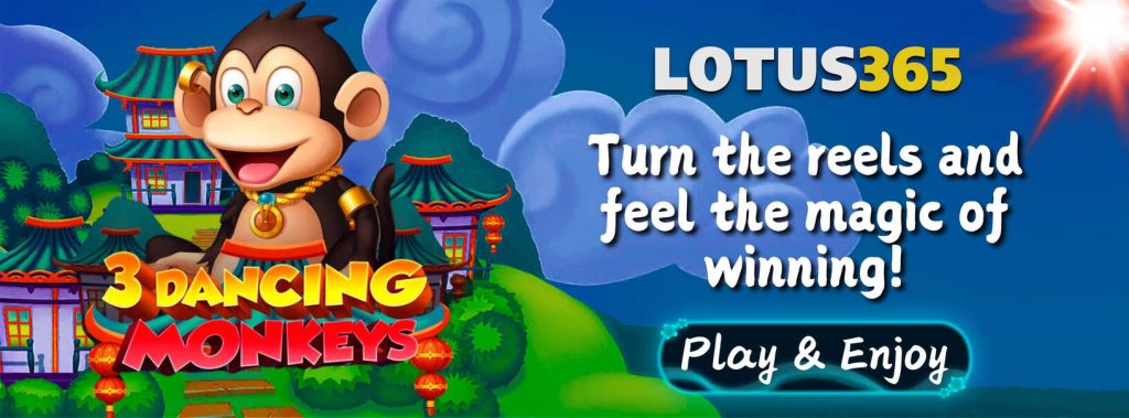 3 Dancing Monkeys Slot Review on Lotus365 3 3 Dancing Monkeys Slot