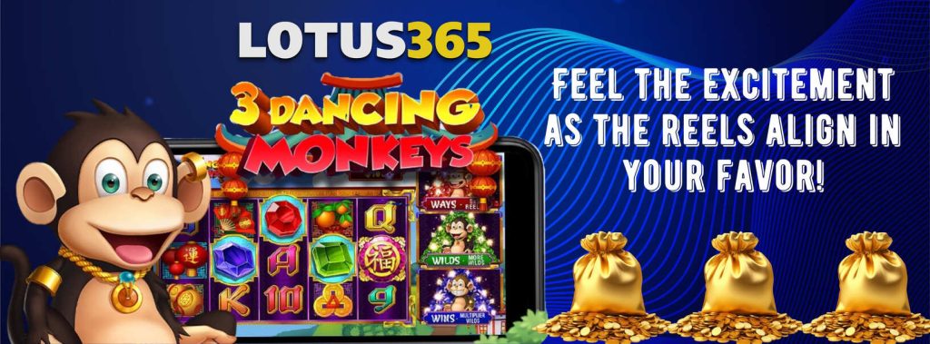 3 Dancing Monkeys Slot Review on Lotus365 2 3 Dancing Monkeys Slot Review