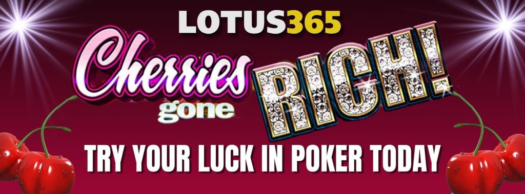 How to Play Cherries Gone Rich on Lotus365 4 Cherries Gone Rich bonus features