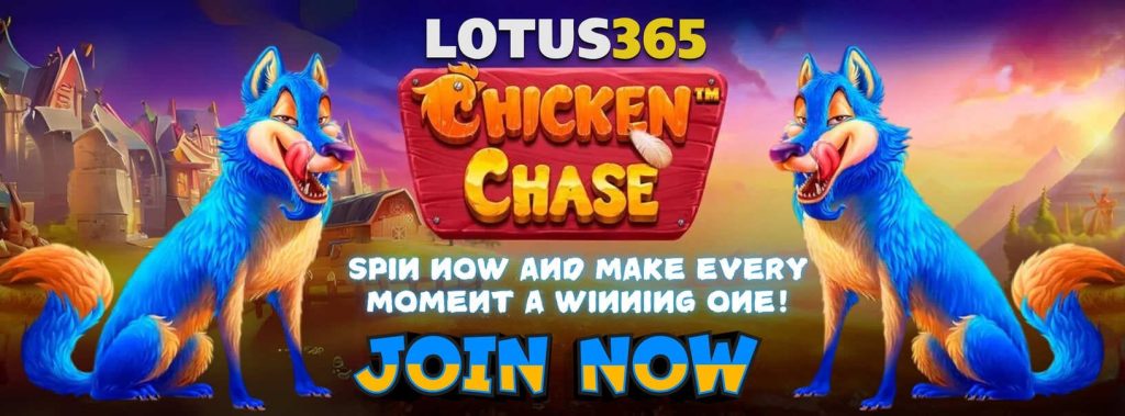 Expert Guide to Playing Chicken Chase Slot on Lotus365 3 Chicken Chase Slot strategies