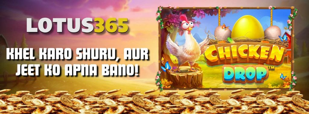 How to Play Chicken Drop Slot on Lotus365 4 Chicken Drop slot