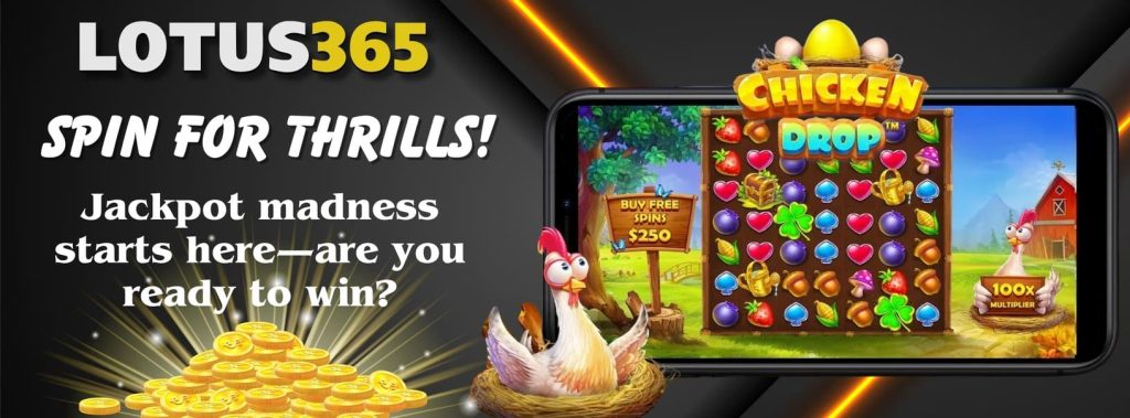 How to Play Chicken Drop Slot on Lotus365 6 Chicken Drop slot bonus