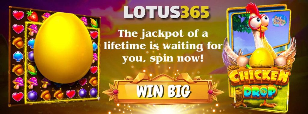 How to Play Chicken Drop Slot on Lotus365 3 Chicken Drop slot game