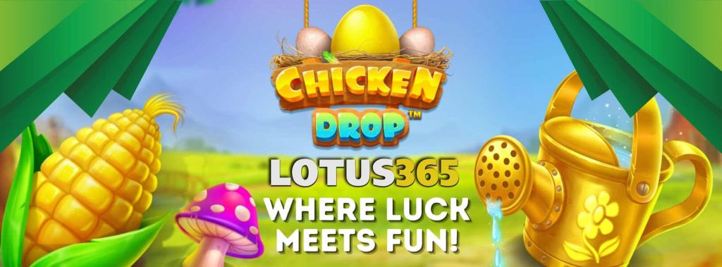 How to Play Chicken Drop Slot on Lotus365 7 Chicken Drop winning strategies