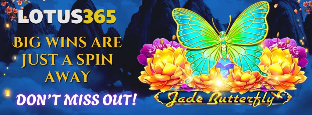 Jade Butterfly Slot Explained - How to Play & Win on Lotus365 2 How to play Jade Butterfly Slot